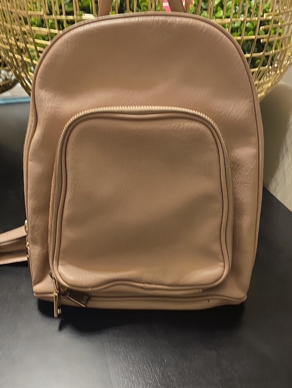 Neutral Tan/ Rose Gold Leather Mini Backpack - Women's Bag